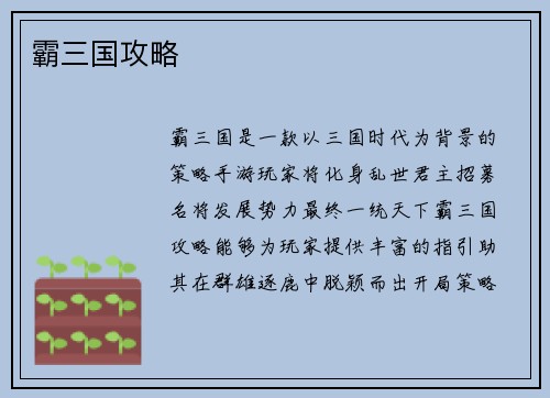 霸三国攻略