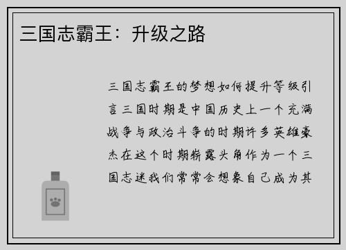 三国志霸王：升级之路