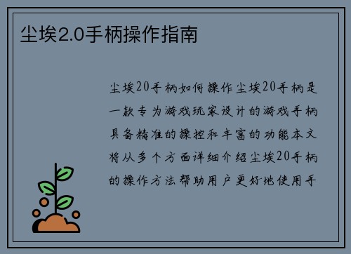 尘埃2.0手柄操作指南